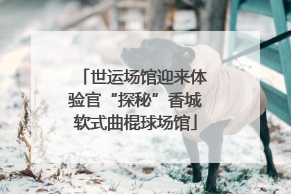 世运场馆迎来体验官“探秘”香城软式曲棍球场馆