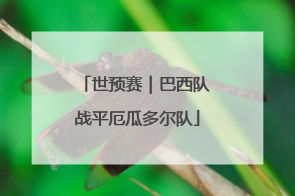 世预赛｜巴西队战平厄瓜多尔队
