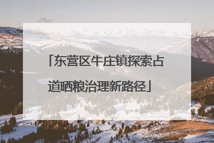 东营区牛庄镇探索占道晒粮治理新路径