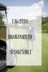 东营区一镇成功跻身全国百强