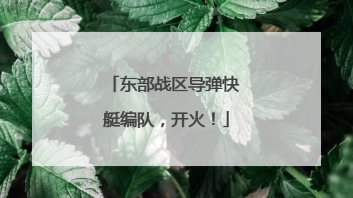 东部战区导弹快艇编队，开火！