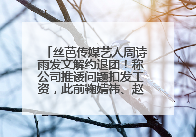 丝芭传媒艺人周诗雨发文解约退团！称公司推诿问题扣发工资，此前鞠婧祎、赵粤等多名艺人解约