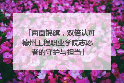 两面锦旗，双倍认可德州工程职业学院志愿者的守护与担当
