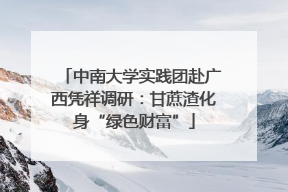 中南大学实践团赴广西凭祥调研：甘蔗渣化身“绿色财富”