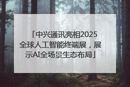 中兴通讯亮相2025全球人工智能终端展，展示AI全场景生态布局