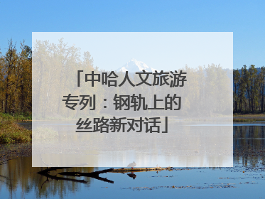 中哈人文旅游专列：钢轨上的丝路新对话