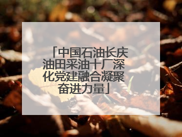 中国石油长庆油田采油十厂深化党建融合凝聚奋进力量