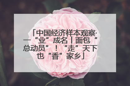 中国经济样本观察·一“业”成名丨面包“总动员”！“走”天下也“香”家乡