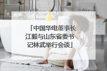 中国华电董事长江毅与山东省委书记林武举行会谈