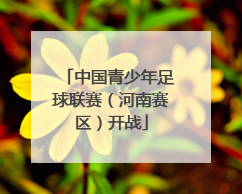 中国青少年足球联赛（河南赛区）开战