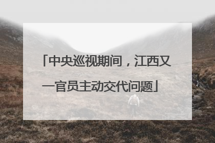 中央巡视期间，江西又一官员主动交代问题