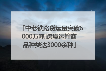 中老铁路货运量突破6000万吨 跨境运输商品种类达3000余种