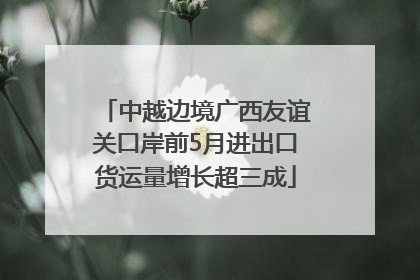 中越边境广西友谊关口岸前5月进出口货运量增长超三成
