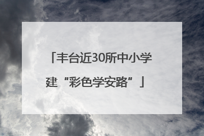 丰台近30所中小学建“彩色学安路”