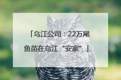 乌江公司：22万尾鱼苗在乌江“安家”