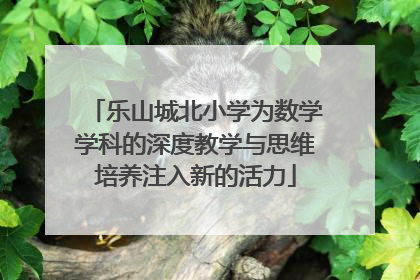 乐山城北小学为数学学科的深度教学与思维培养注入新的活力