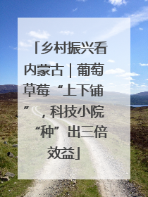 乡村振兴看内蒙古｜葡萄草莓“上下铺”，科技小院“种”出三倍效益