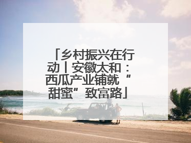 乡村振兴在行动丨安徽太和：西瓜产业铺就“甜蜜”致富路