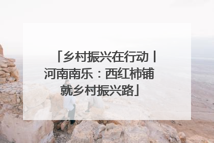 乡村振兴在行动丨河南南乐：西红柿铺就乡村振兴路