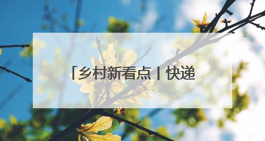 乡村新看点丨快递坐上了“飞的”