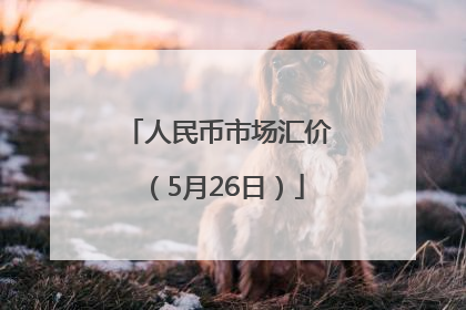 人民币市场汇价（5月26日）