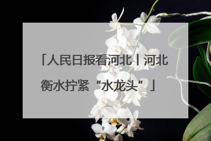 人民日报看河北丨河北衡水拧紧“水龙头”