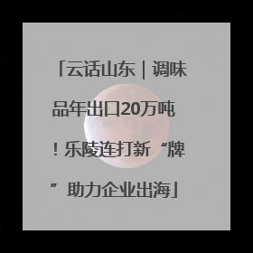 云话山东｜调味品年出口20万吨！乐陵连打新“牌”助力企业出海