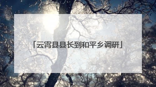 云霄县县长到和平乡调研