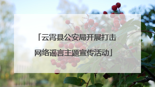 云霄县公安局开展打击网络谣言主题宣传活动