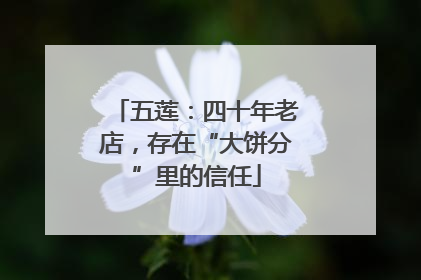五莲：四十年老店，存在“大饼分”里的信任