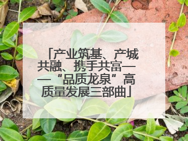 产业筑基、产城共融、携手共富——“品质龙泉”高质量发展三部曲