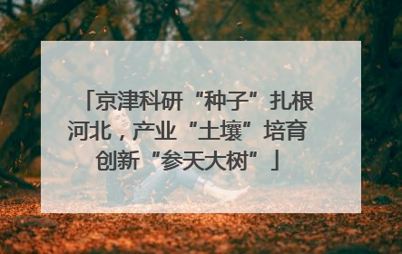 京津科研“种子”扎根河北，产业“土壤”培育创新“参天大树”