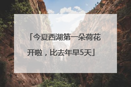 今夏西湖第一朵荷花开啦，比去年早5天