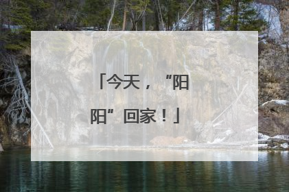 今天，“阳阳”回家！