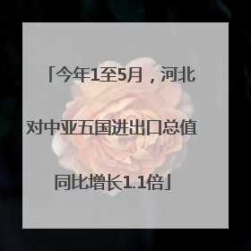 今年1至5月，河北对中亚五国进出口总值同比增长1.1倍