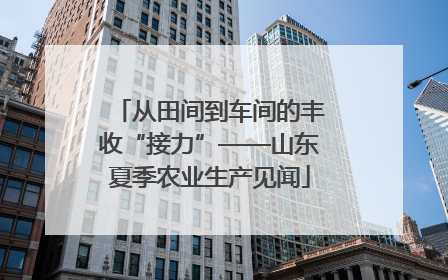 从田间到车间的丰收“接力”——山东夏季农业生产见闻