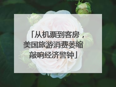 从机票到客房，美国旅游消费萎缩敲响经济警钟