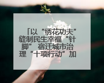 以“绣花功夫”缝制民生幸福“针脚” 宿迁城市治理“十项行动”加速落地