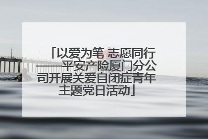 以爱为笔 志愿同行——平安产险厦门分公司开展关爱自闭症青年主题党日活动