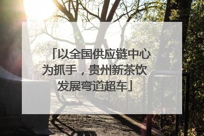 以全国供应链中心为抓手，贵州新茶饮发展弯道超车