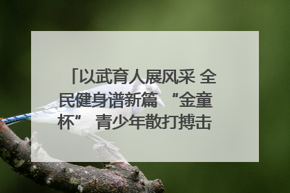 以武育人展风采 全民健身谱新篇 “金童杯” 青少年散打搏击邀请赛圆满落幕