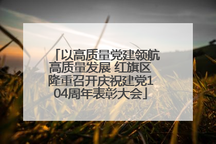 以高质量党建领航高质量发展 红旗区隆重召开庆祝建党104周年表彰大会