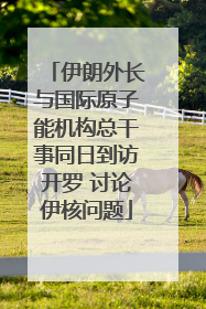 伊朗外长与国际原子能机构总干事同日到访开罗 讨论伊核问题