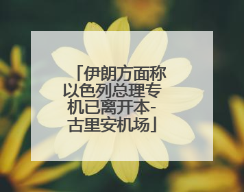 伊朗方面称以色列总理专机已离开本-古里安机场