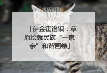 伊金霍洛镇：草原绘就民族“一家亲”和谐画卷