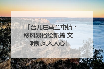 台儿庄马兰屯镇：移风易俗绘新篇 文明新风入人心