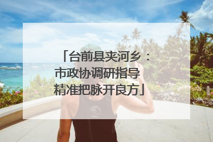 台前县夹河乡：市政协调研指导 精准把脉开良方