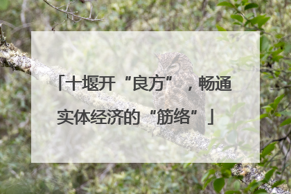 十堰开“良方”，畅通实体经济的“筋络”