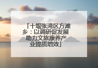 十堰张湾区方滩乡：以调研促发展 助力文旅康养产业提质增效