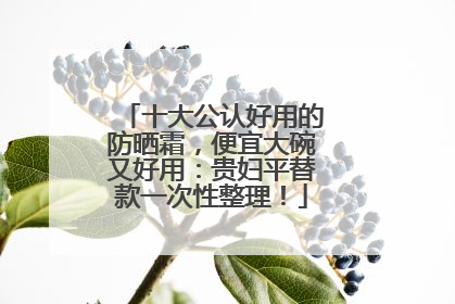 十大公认好用的防晒霜，便宜大碗又好用：贵妇平替款一次性整理！